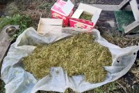 На чердаке в Усольском районе пять килограммов марихуаны