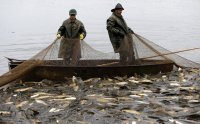 В Усольском районе незаконно ловили рыбу