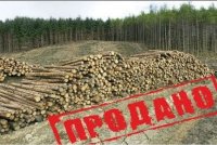 Чиновники Приангарья незаконно продали лес на 9 млн рублей