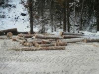 Незаконная рубка леса на 47 млн рублей выявлена в Слюдянском районе