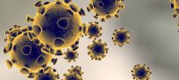 За сутки в России зарегистрировали 21 случай заражения коронавирусом