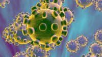 За сутки выявлено 112 новых случаев заражения коронавирусом