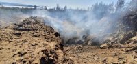 Лесопильные предприятия Иркутской области обяжут перерабатывать отходы производства   
