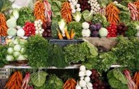 Специальная горячая линия по качеству овощей и фруктов будет работать в июне в Иркутской области   