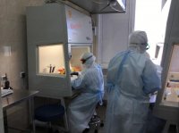 206 новых случаев коронавируса выявили за сутки в Иркутской области