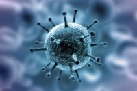 Количество заболевших коронавирусом в Усолье растет