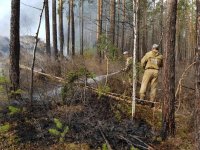 Шесть лесных пожаров ликвидировали в Иркутской области за сутки