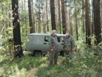 В иркутских лесах стали наводить порядок