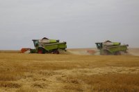 В Иркутской области намолотили зерна на 37% больше, чем в 2019 году